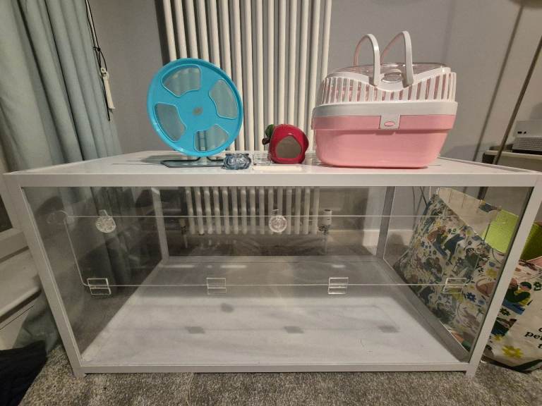 Dwarf Hamster Starter Kit!