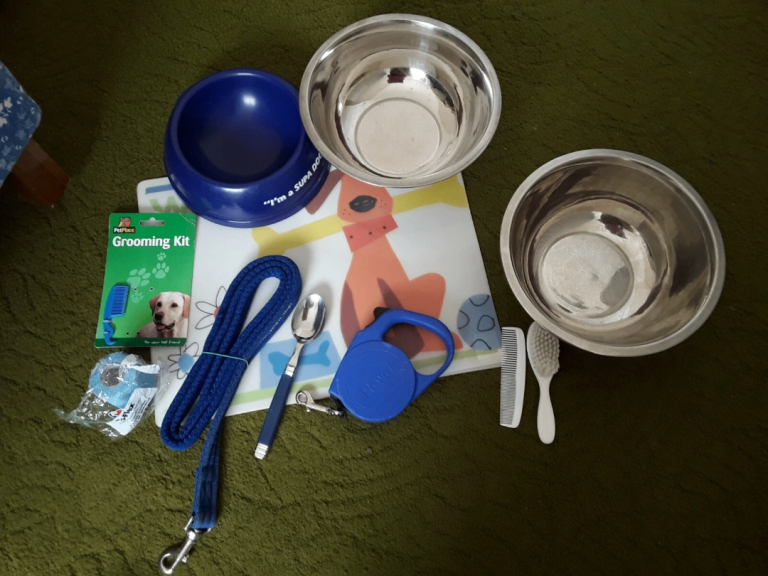 Dog leads and Bowls + accessories