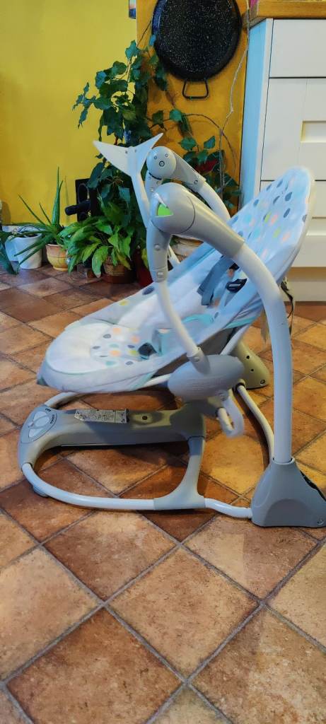 Ingenuity Baby Bouncer