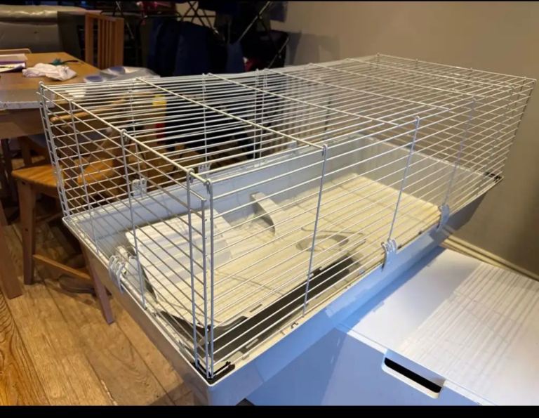 Pete at home rabbit guinea pig hutch