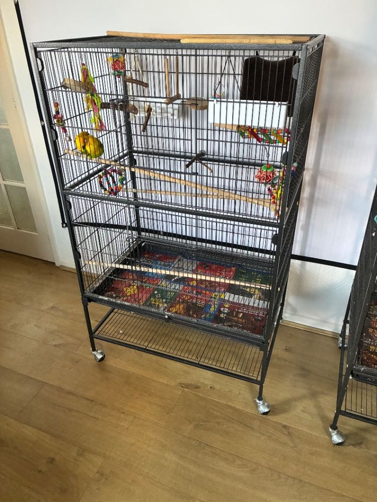 Large Bird Cage 