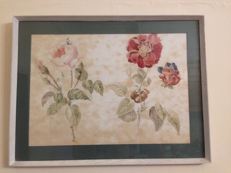 ANTIQUE ENGLISH PAINTING. Victorian botanical studies watercolour. 19th century
