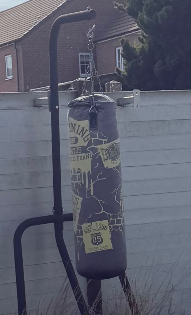 Boxing bag & frame