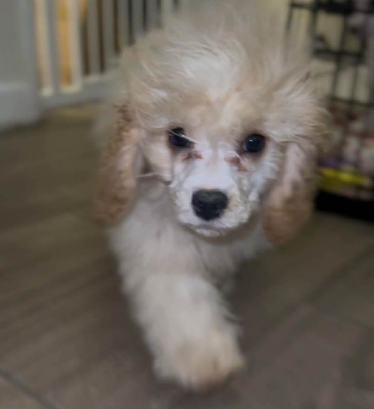 Last girl left ready to leave 