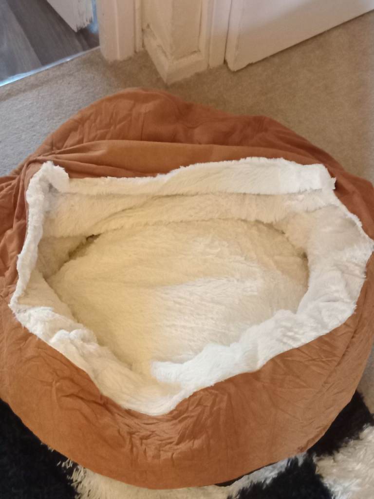 Brand new dig bed to big for my puppy
