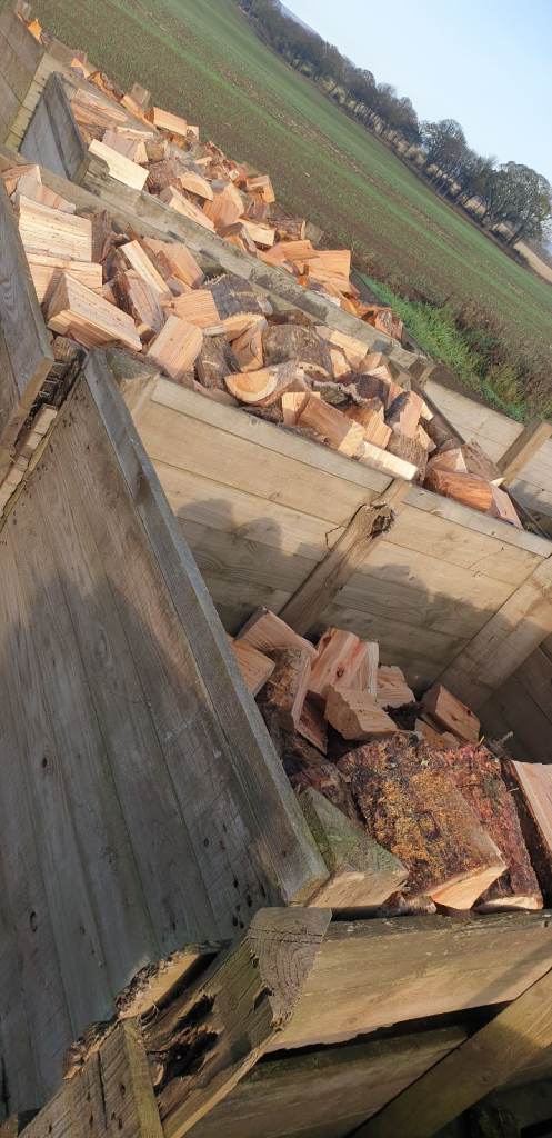 Logs n stuff
