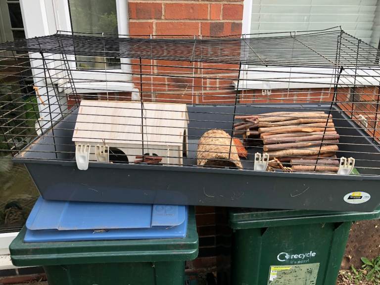 GUINEA PIG CAGE AND EXTRAS