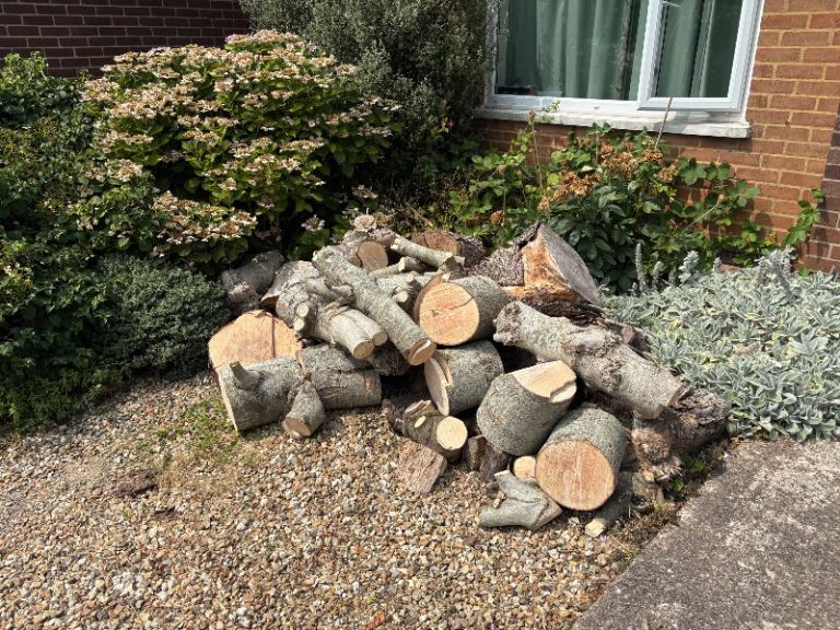 Free Firewood Logs for Burning