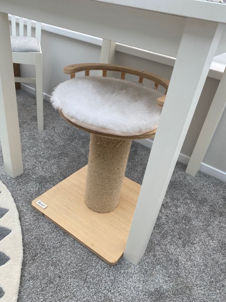 Pet stand