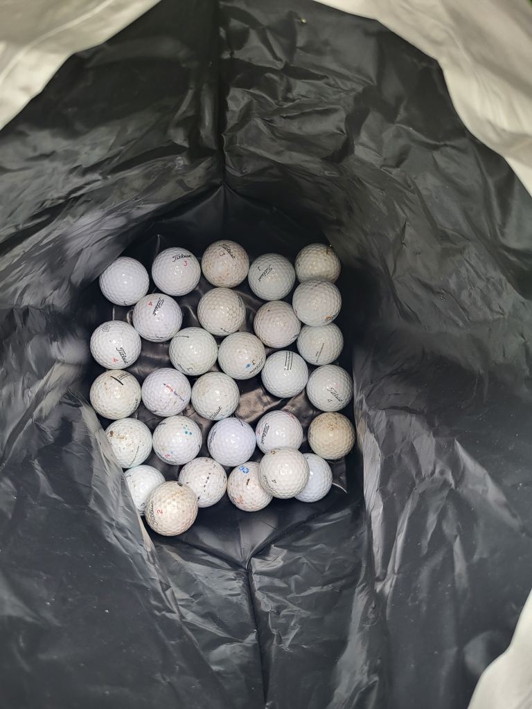 Titlelist golf balls - used