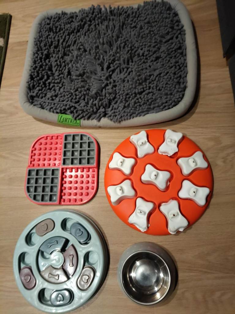 Assorted Dog Training Accessories