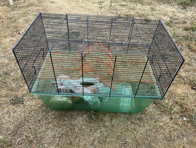 Large gerbil cage with accessories