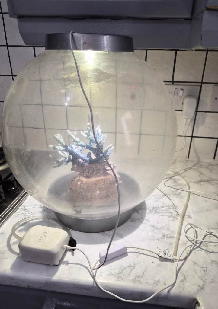 biOrb CLASSIC 30 Aquarium Acrylic Fish Tank Dome with Light and Air Pump