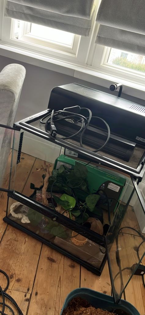 Reptile tank 
