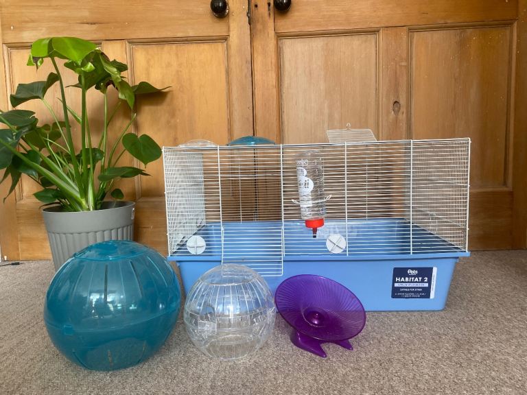 Hamster Cage and Accessories 