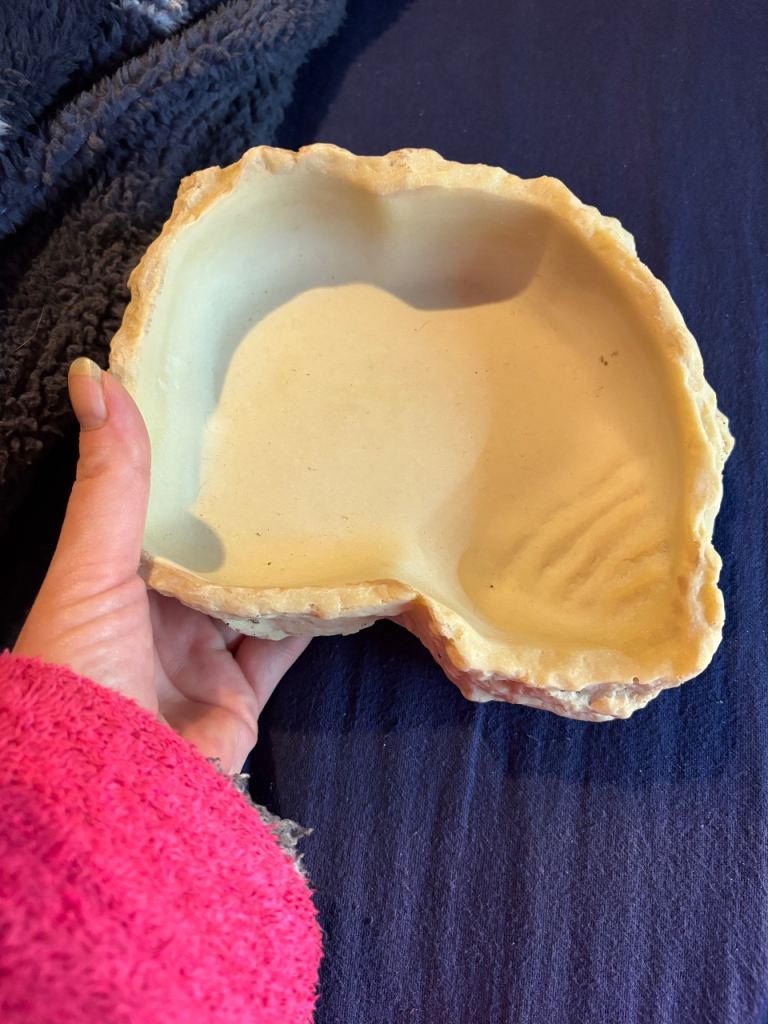 Reptile vivarium snake bearded dragon water food dish 