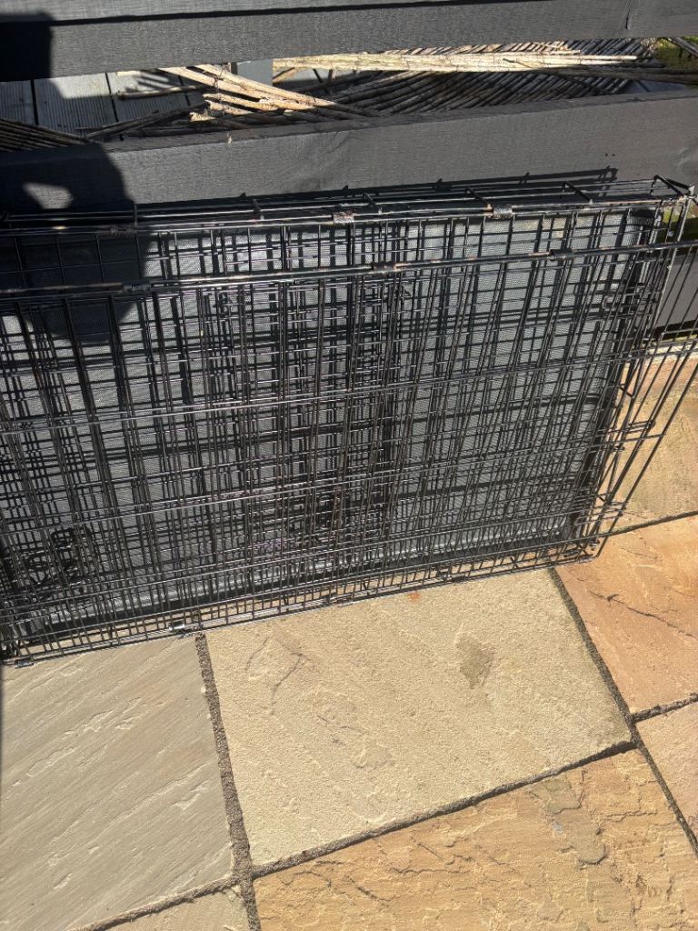 Free Medium Sized Dog Crate