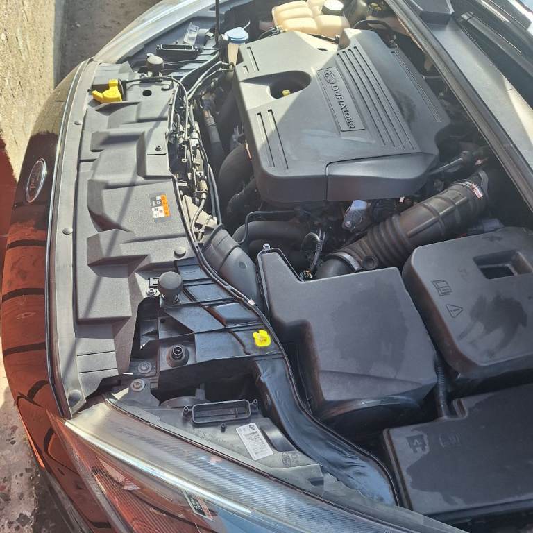 Ford, FOCUS, Hatchback, 2016, Manual, 1997 (cc), 5 doors
