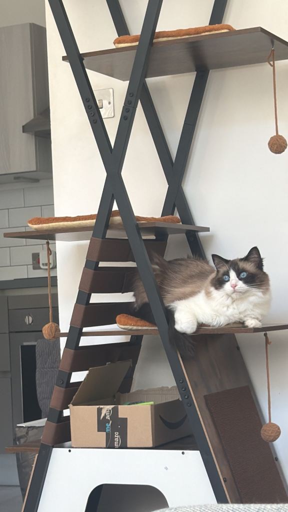 Brand New Large Cat Tree – Fully Assembled