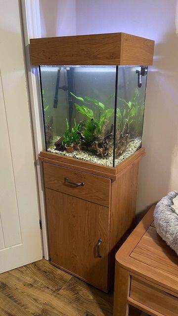 Aqua One Oakstyle 85 Aquarium & Cabinet