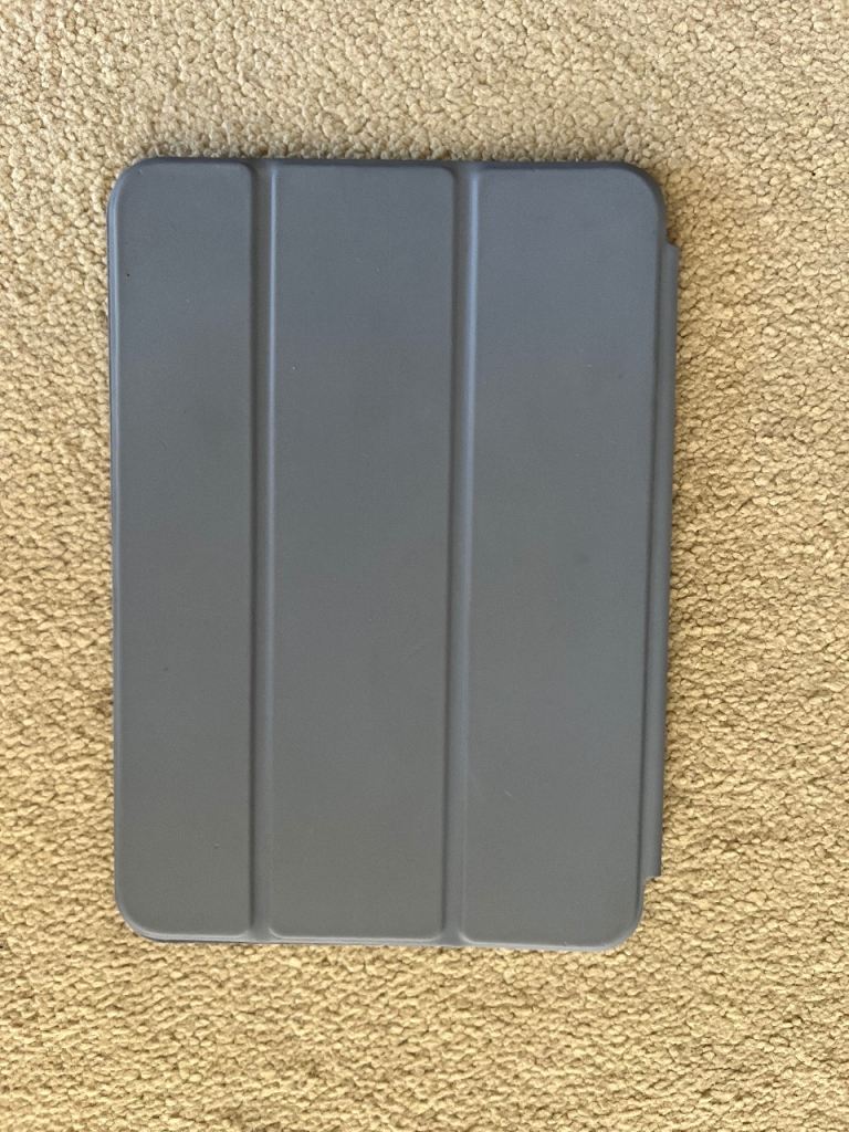 iPad mini (latest) folio case