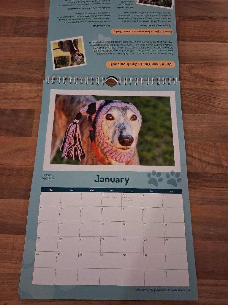 2026 greyhound Charity Calendars A4 
