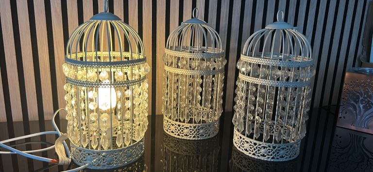 Bird Cage Lamp Lantern and Ceiling Lightshades
