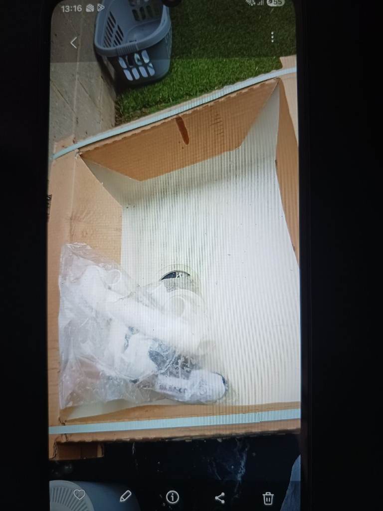 Kitchen sink  blanco rotan 500-u