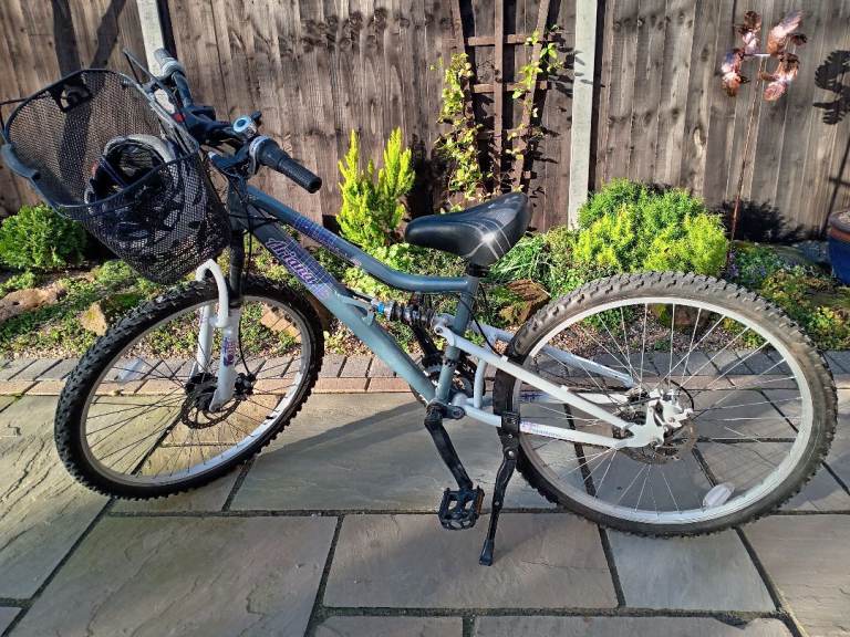 Teenage Girls bike