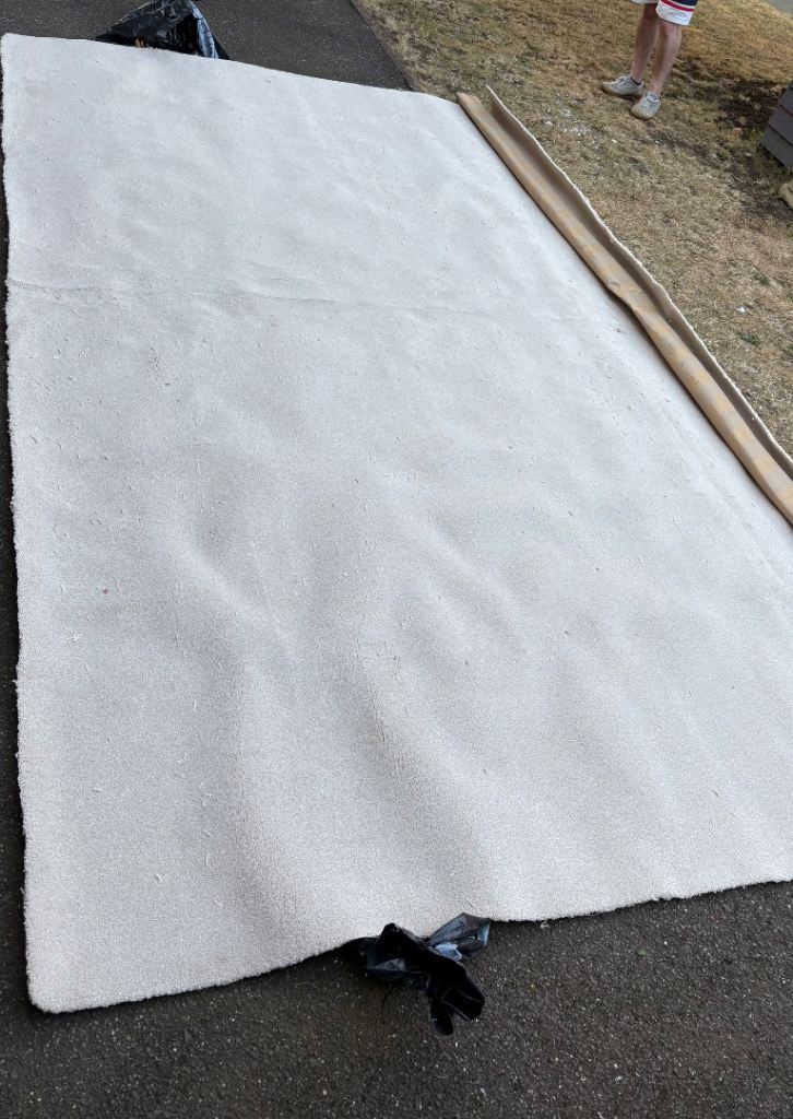 Large Beige carpet – new , Ready for New Home