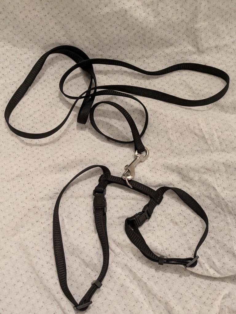 Cat Harness and Lead As New