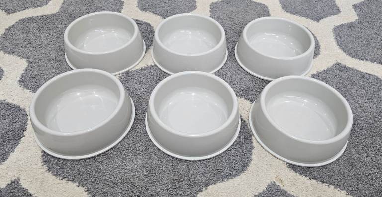 Cat/Pet Bowls ×6