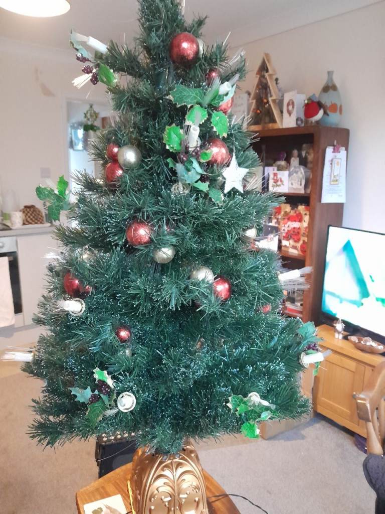 Fibre optic christmas tree