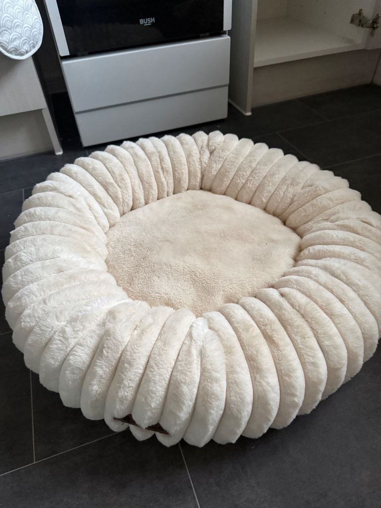 Dog bed 