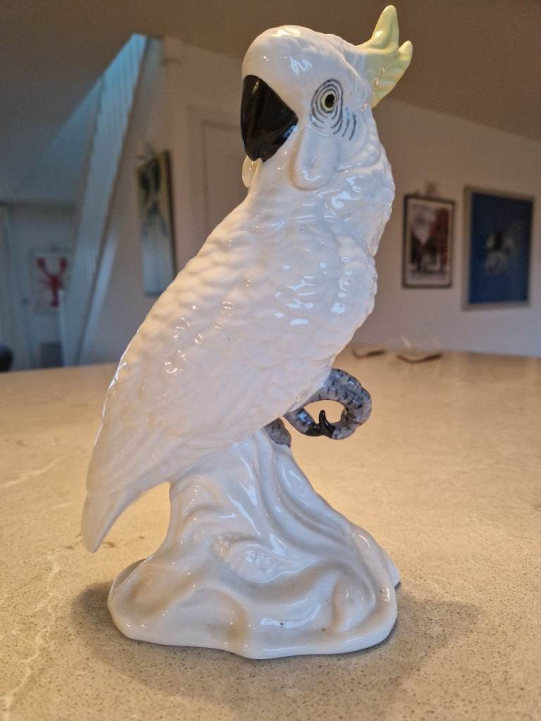 J.T. Jones crown stafgordshire cockatoo