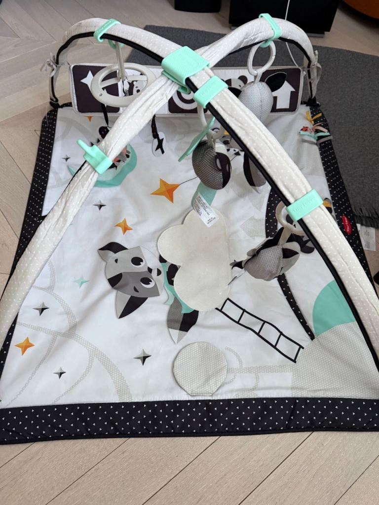 Tiny Love baby gym