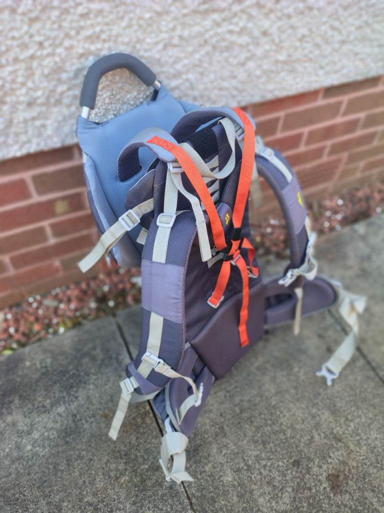 LittleLife Ranger S2 carrier