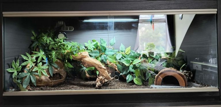 Vivarium (FULL SET UP)