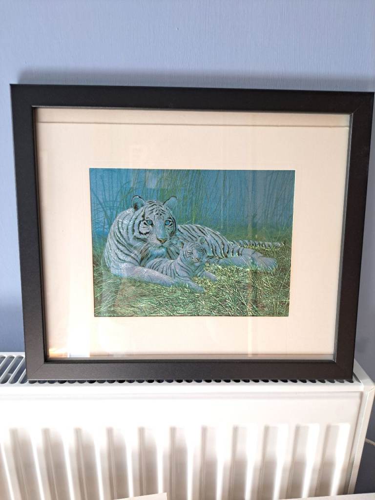 Tiger and cub photo