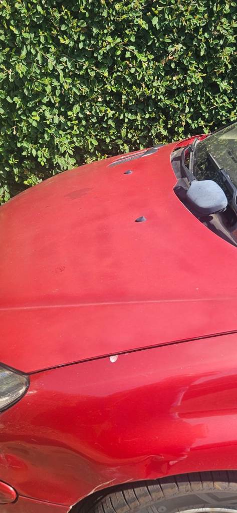Peugeot, 206, Convertible, 2003, Manual, 1587 (cc), 2 doors