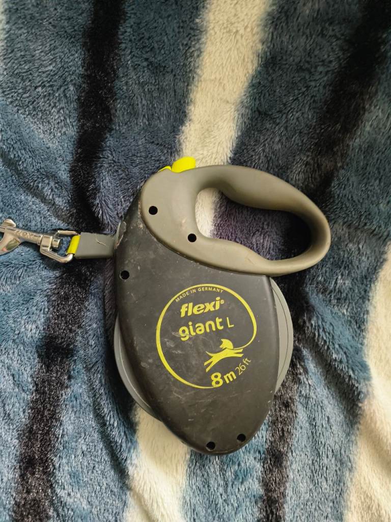 Lead retractable 