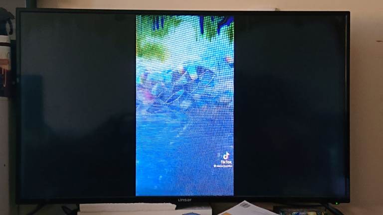 49” Linsar TV - working, Screen Burn (See Photos) 
