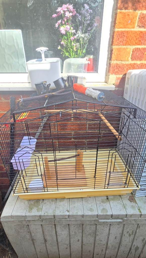 Medium sized bird cage plus start up extras.