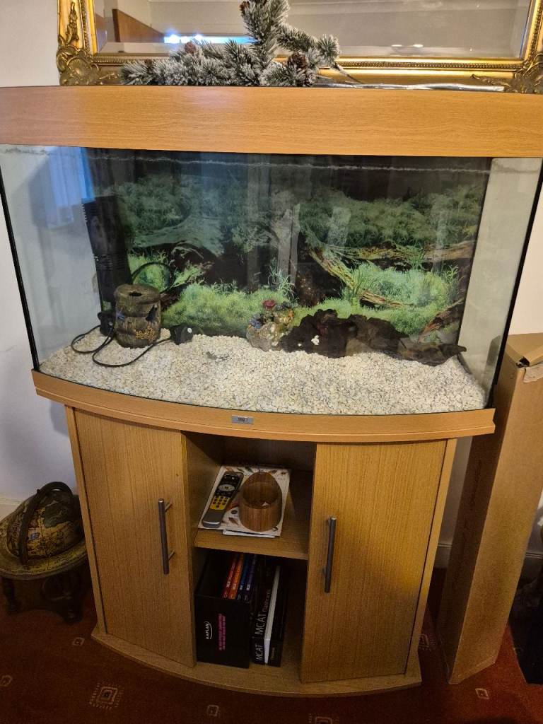 Juwel 180L Aquarium 