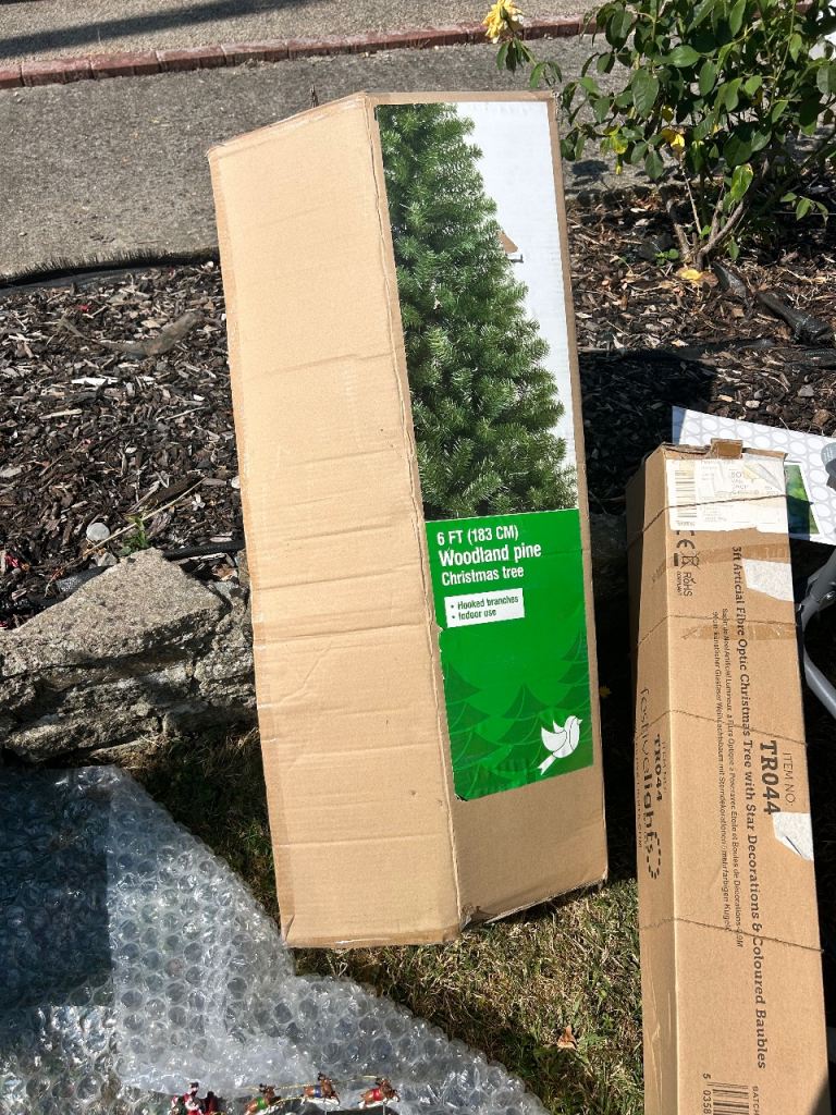 6ft Woodland Pine Christmas Tree in Box