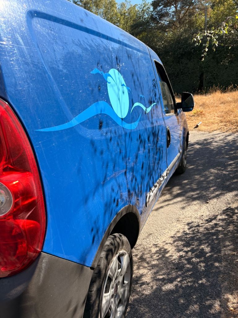 Fiat, DOBLO, Panel Van, 2014, Manual, 1598 (cc)