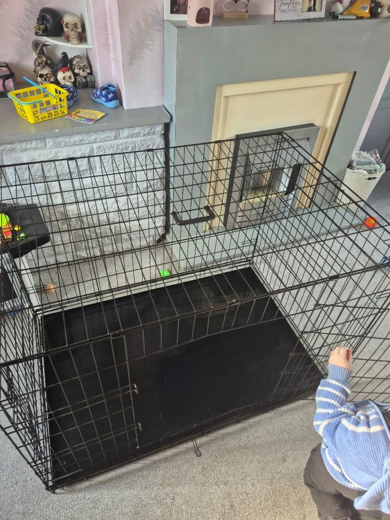 Large dog crate