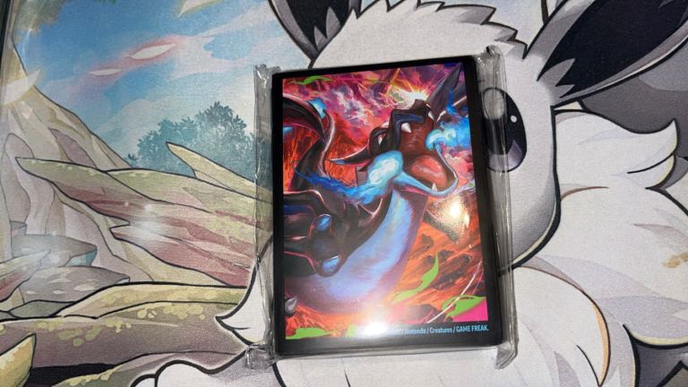 Pokemon Card Sleeves - Charizard