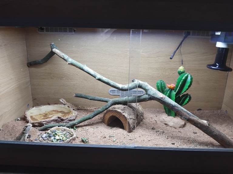 Vivarium 