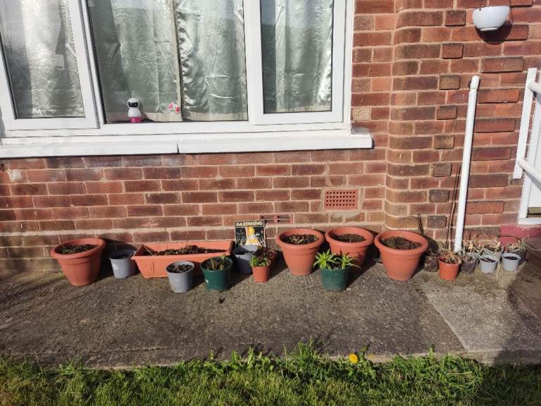 Lovely bundle with many pots, some plants and all with soil 💝
